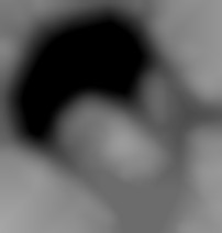 Member Image