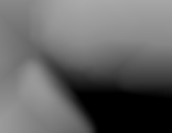 Member Image