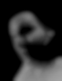 Member Image