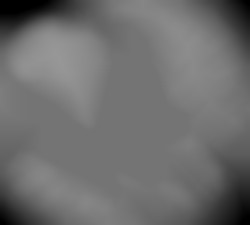 Member Image