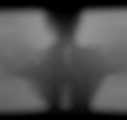Member Image