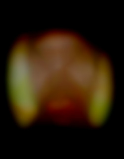 Member Image