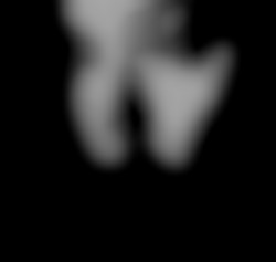 Member Image