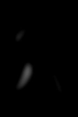 Member Image