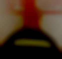 Member Image
