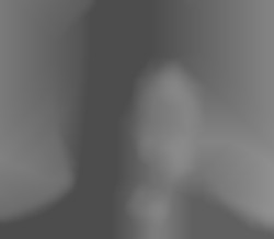 Member Image