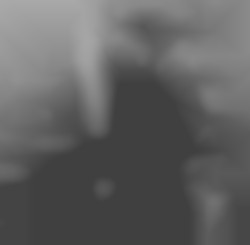 Member Image