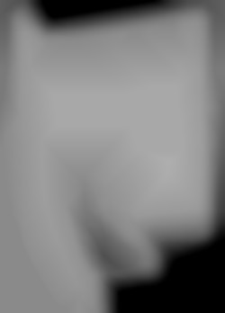 Member Image