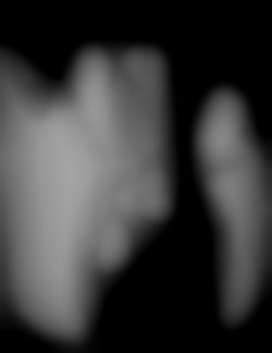 Member Image
