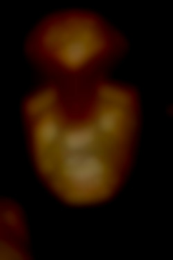 Member Image