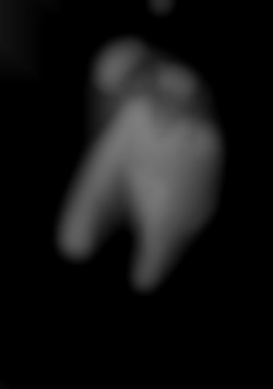 Member Image