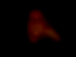 Member Image