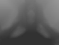Member Image