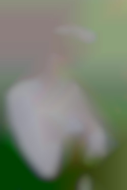 Member Image