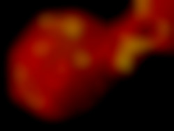 Member Image