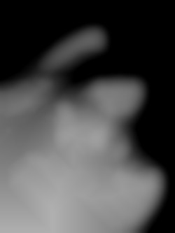 Member Image