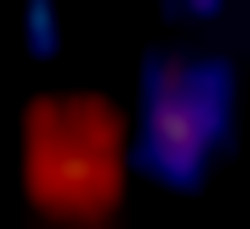 Member Image
