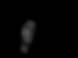 Member Image