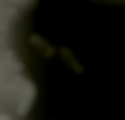 Member Image