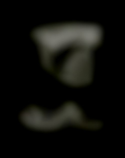 Member Image