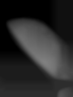 Member Image
