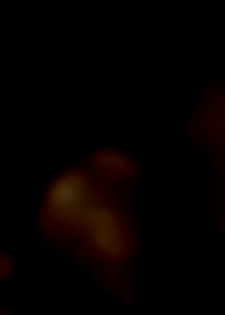 Member Image