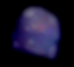 Member Image