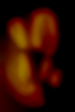 Member Image
