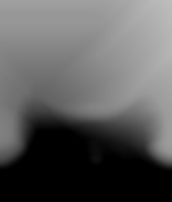 Member Image