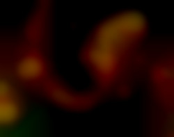 Member Image