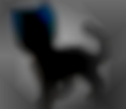 Member Image