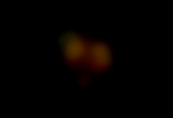 Member Image