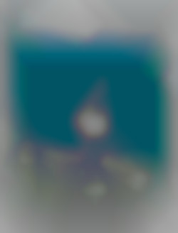 Member Image