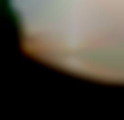Member Image