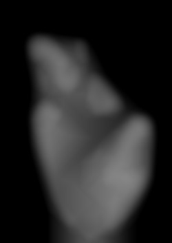 Member Image