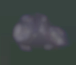 Member Image