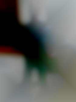 Member Image
