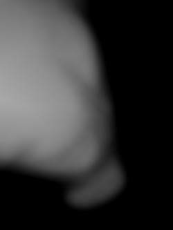 Member Image
