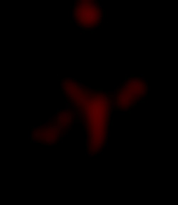Member Image