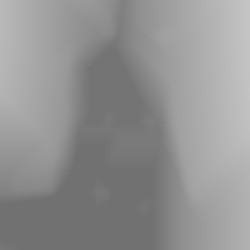 Member Image