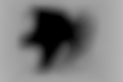 Member Image