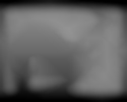 Member Image