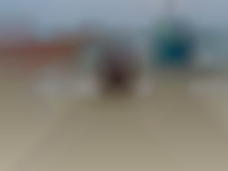 Member Image