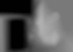 Member Image