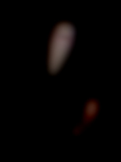 Member Image