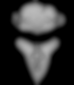 Member Image