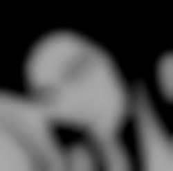 Member Image