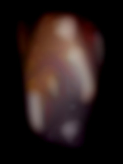 Member Image
