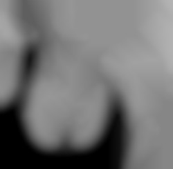 Member Image