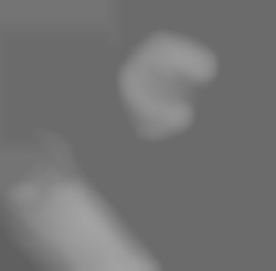 Member Image